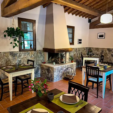 Mucellena 5*