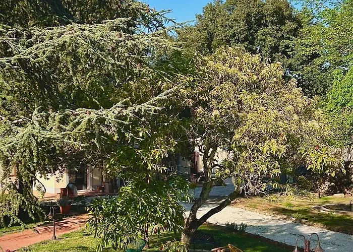 Mucellena Apartahotel