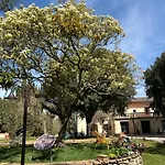 Mucellena Aparthotel