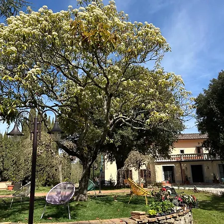 Mucellena Aparthotel