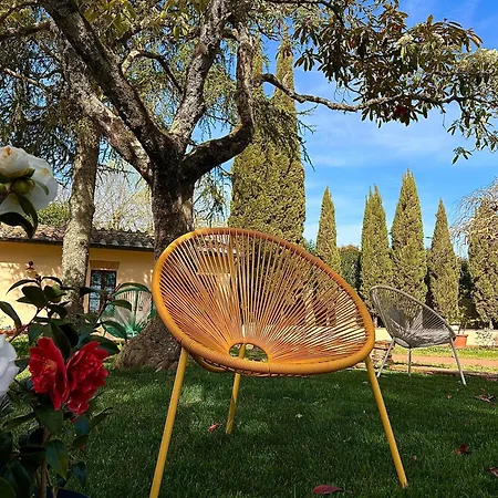 Mucellena 5*