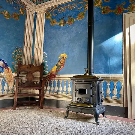Mucellena 5*